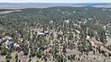 21 Conifer - Photo 111