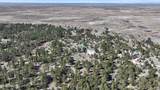 21 Conifer - Photo 112