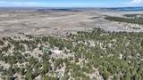 21 Conifer - Photo 114