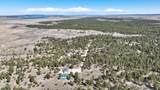 21 Conifer - Photo 115