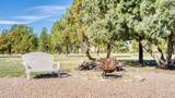 21 Conifer - Photo 77