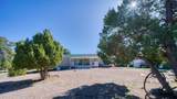 21 Conifer - Photo 83