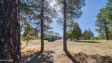 21 Conifer - Photo 84