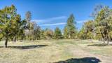 21 Conifer - Photo 85