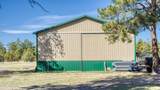 21 Conifer - Photo 89