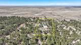 21 Conifer - Photo 9