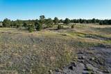 0000 Juniper Hills Rd Tract 3 - Photo 13