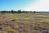 0000 Juniper Hills Rd Tract 3 - Photo 15