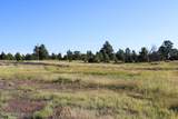 0000 Juniper Hills Rd Tract 3 - Photo 16