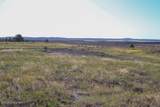 0000 Juniper Hills Rd Tract 3 - Photo 17