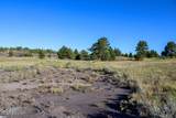 0000 Juniper Hills Rd Tract 3 - Photo 19