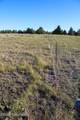 0000 Juniper Hills Rd Tract 3 - Photo 20
