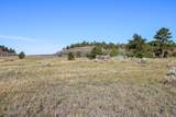 0000 Juniper Hills Rd Tract 3 - Photo 21