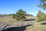 0000 Juniper Hills Rd Tract 3 - Photo 22