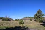 0000 Juniper Hills Rd Tract 3 - Photo 23