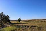 0000 Juniper Hills Rd Tract 3 - Photo 24