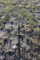 0000 Juniper Hills Rd Tract 3 - Photo 26