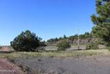 0000 Juniper Hills Rd Tract 2 - Photo 24