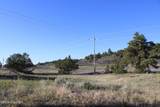 0000 Juniper Hills Rd Tract 2 - Photo 25