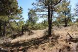 Tract C-5 Broad Axe Rd - Photo 18