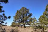 Tract C-5 Broad Axe Rd - Photo 19