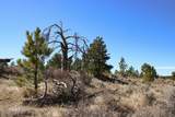 Tract C-5 Broad Axe Rd - Photo 20