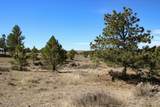 Tract C-5 Broad Axe Rd - Photo 21