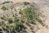 Tract C-5 Broad Axe Rd - Photo 5