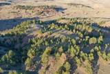 Tract D-1 Broad Axe Rd - Photo 1