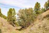 Tract D-1 Broad Axe Rd - Photo 11