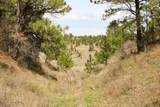 Tract D-1 Broad Axe Rd - Photo 12