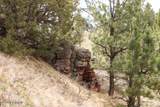 Tract D-1 Broad Axe Rd - Photo 13