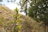 Tract D-1 Broad Axe Rd - Photo 14