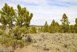 Tract D-1 Broad Axe Rd - Photo 15