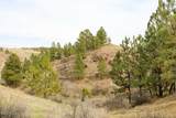 Tract D-1 Broad Axe Rd - Photo 16