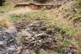 Tract D-1 Broad Axe Rd - Photo 19