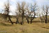 Tract D-1 Broad Axe Rd - Photo 22