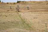 Tract D-2 Broad Axe Rd - Photo 16