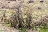 Tract D-2 Broad Axe Rd - Photo 24