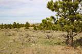Tract D-2 Broad Axe Rd - Photo 37