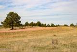 Tract D-2 Broad Axe Rd - Photo 38
