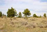 Tract D-2 Broad Axe Rd - Photo 40