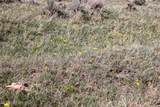 Tract D-4 Broad Axe Rd - Photo 19