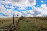 Tract D-4 Broad Axe Rd - Photo 20
