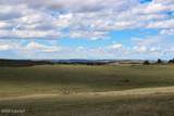 Tract D-6 Broad Axe Rd - Photo 17