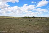 Tract D-6 Broad Axe Rd - Photo 9