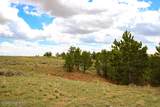 Tract D-7 Broad Axe Rd - Photo 11