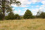 Tract D-7 Broad Axe Rd - Photo 14