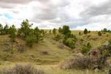 Tract D-7 Broad Axe Rd - Photo 17