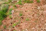 Tract D-7 Broad Axe Rd - Photo 23